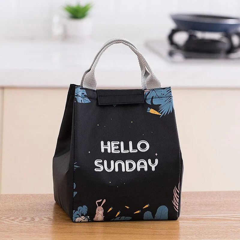 1pc Insulated Lunch Bag Kids Male Female Travel Picnic Outing Waterproof Storage Bag