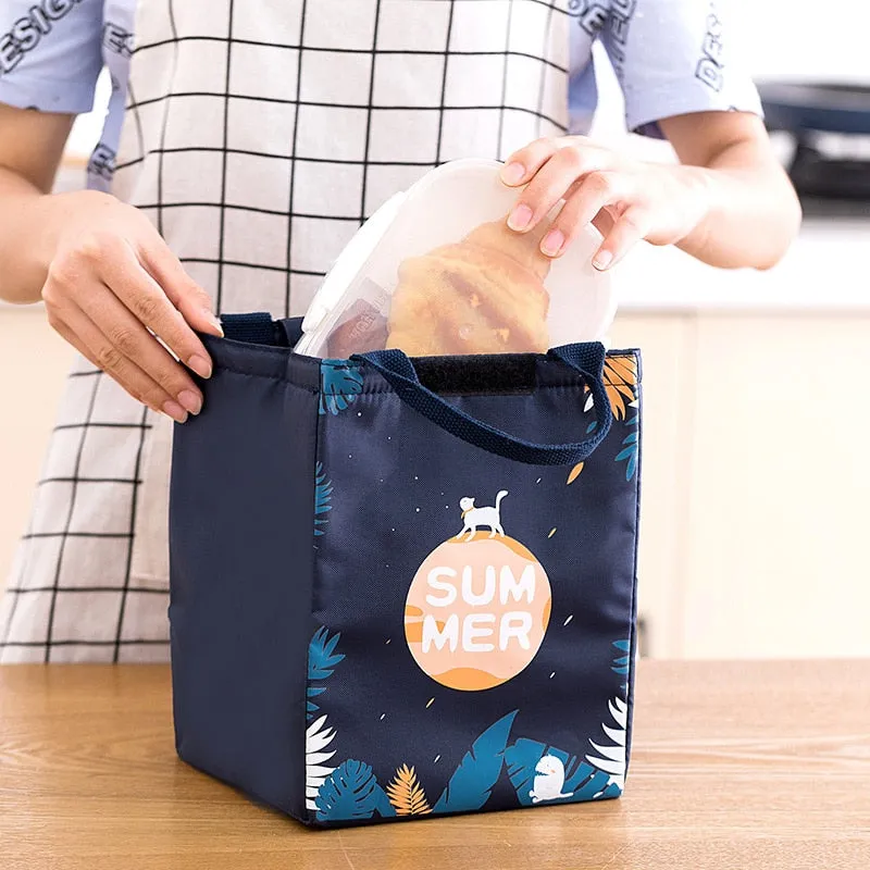 1pc Insulated Lunch Bag Kids Male Female Travel Picnic Outing Waterproof Storage Bag