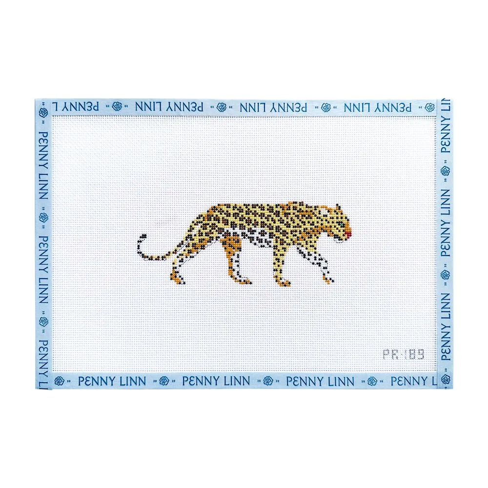 African Leopard