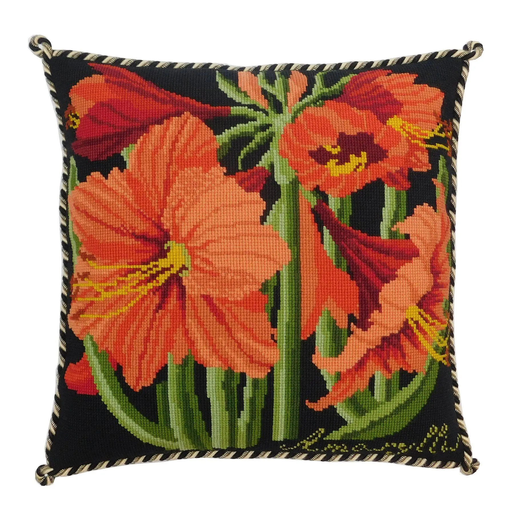 Amaryllis