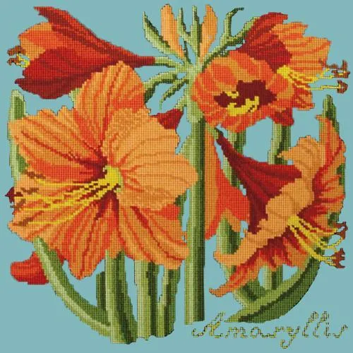 Amaryllis