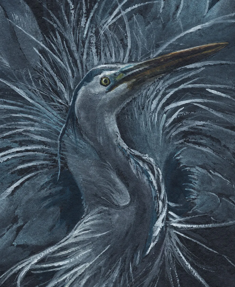 Boasting Blue - Fine Art Print