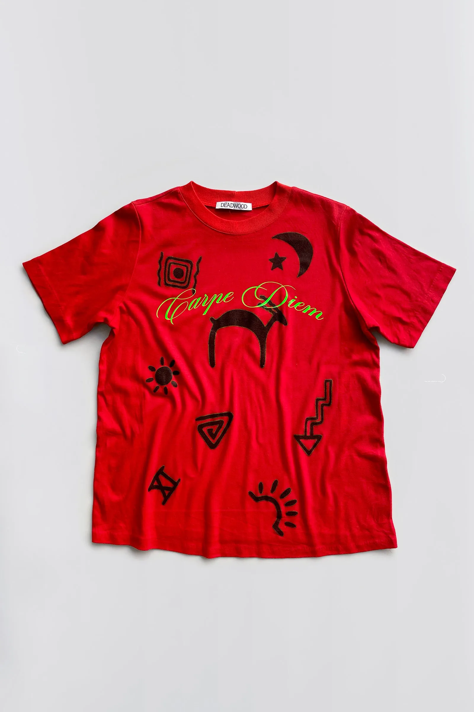 Carpe Diem Vintage Tee 2