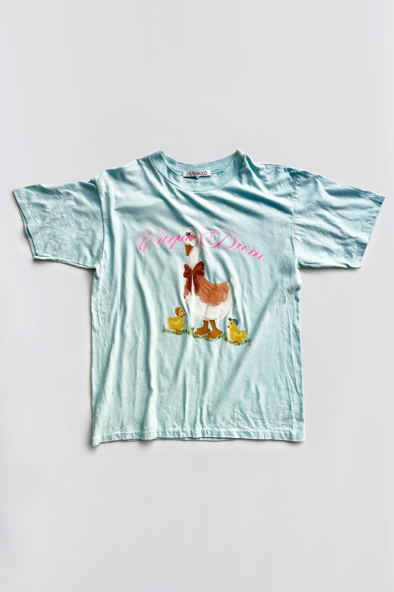 Carpe Diem Vintage Tee 7