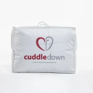 Duvet Storage Bags