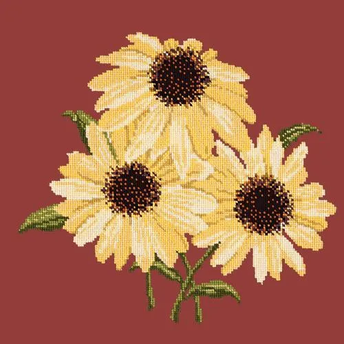 Echinaceas