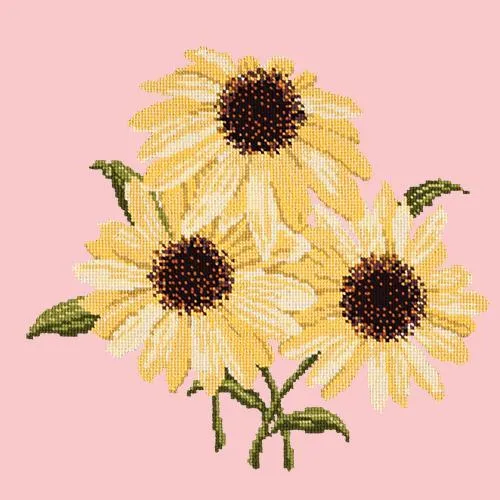 Echinaceas