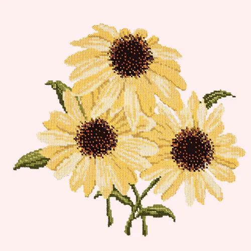 Echinaceas