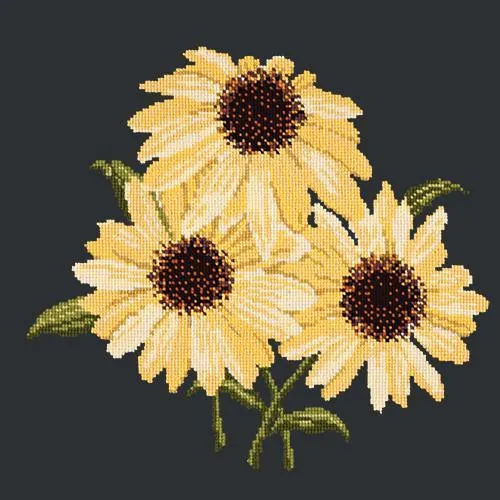 Echinaceas