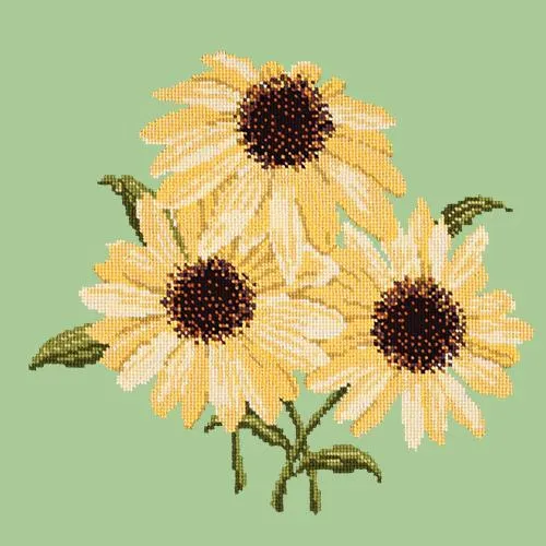 Echinaceas
