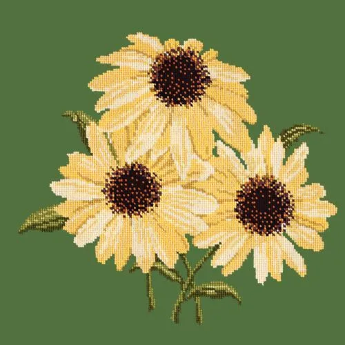 Echinaceas