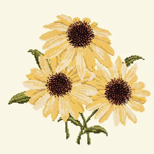 Echinaceas