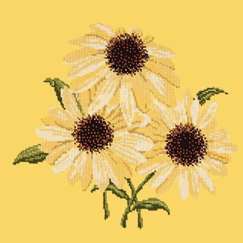 Echinaceas