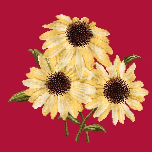 Echinaceas