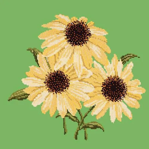Echinaceas