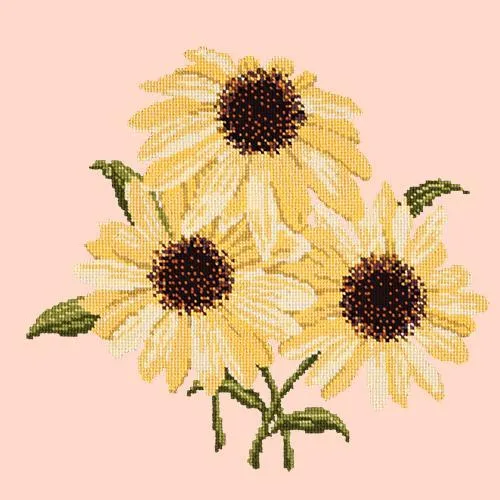 Echinaceas