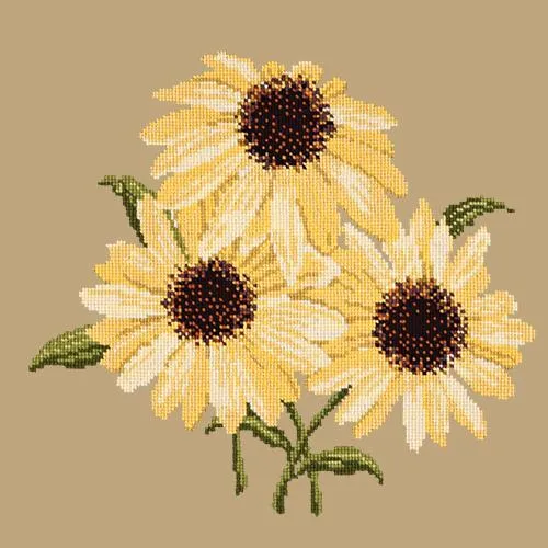 Echinaceas