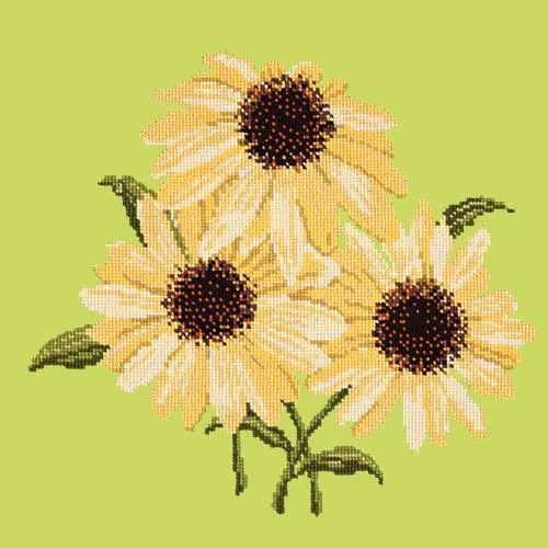 Echinaceas