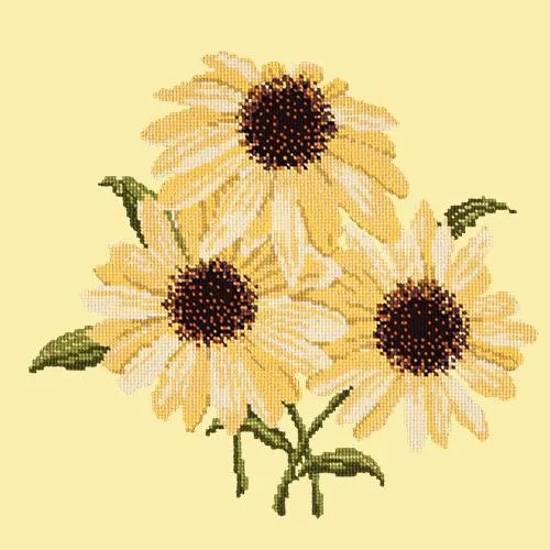 Echinaceas