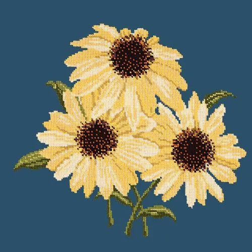 Echinaceas