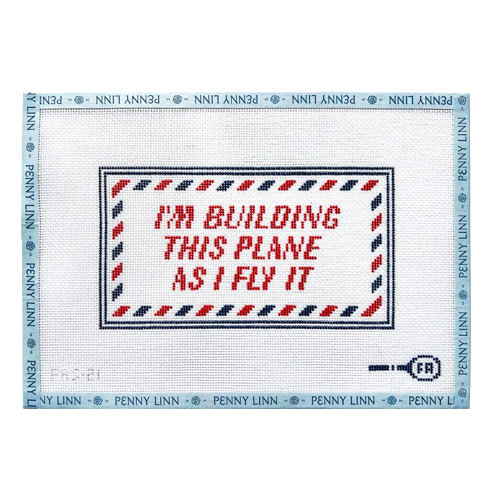 I'm Building this Plane as I Fly It