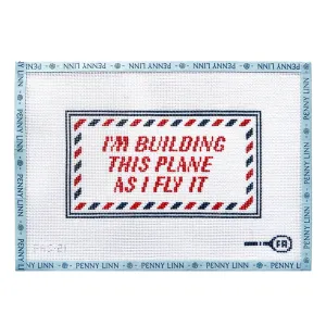 I'm Building this Plane as I Fly It