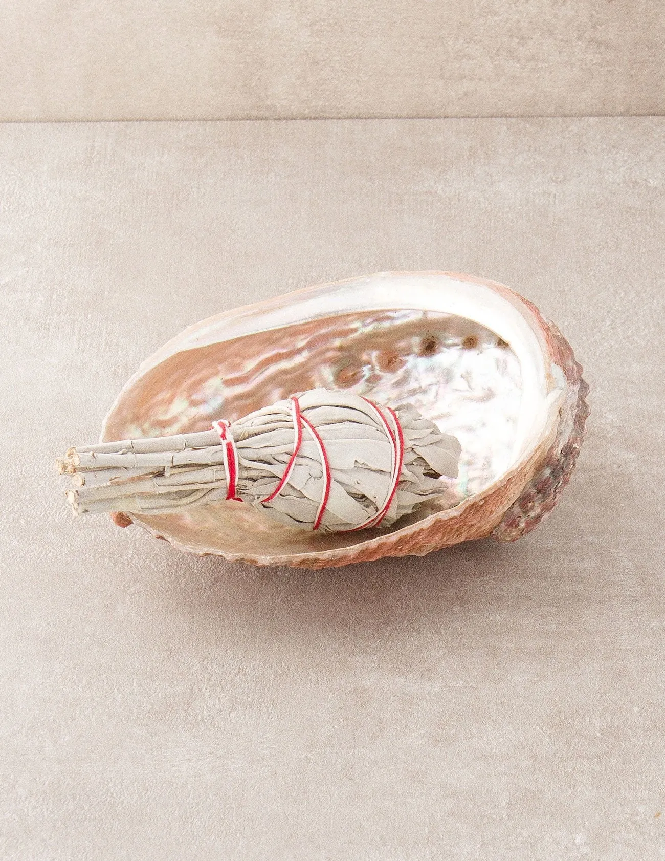 Large Abalone Shell and White Sage Smudge Set