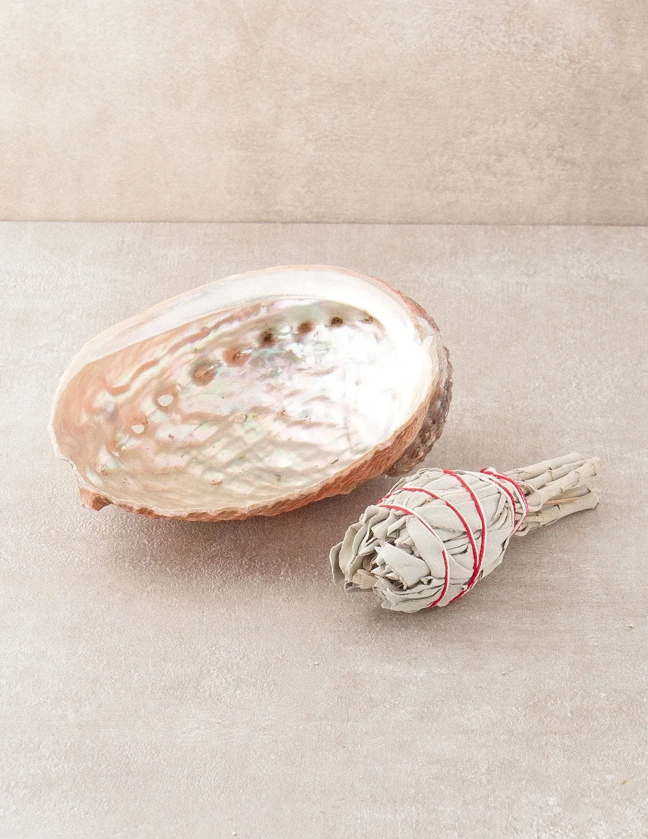 Large Abalone Shell and White Sage Smudge Set