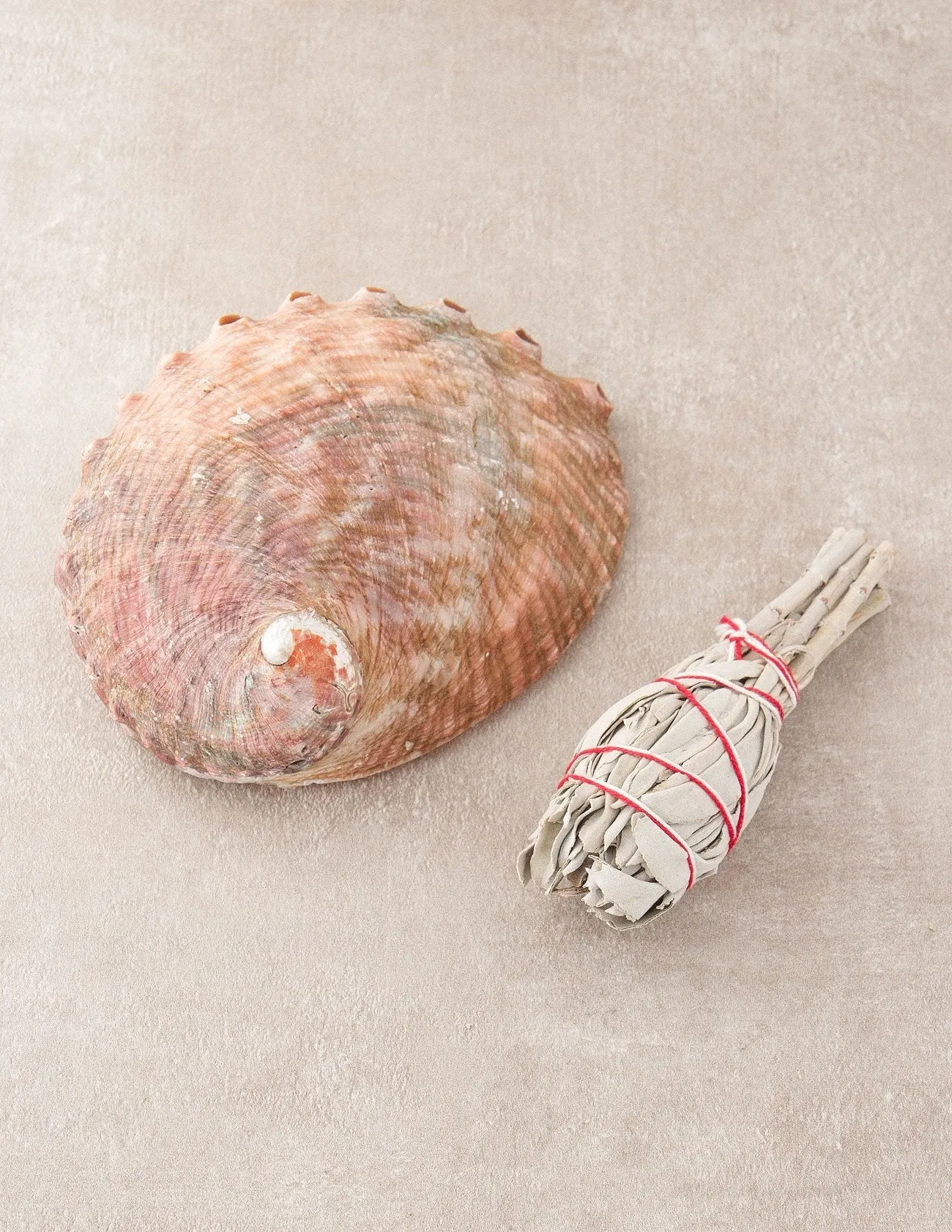 Large Abalone Shell and White Sage Smudge Set