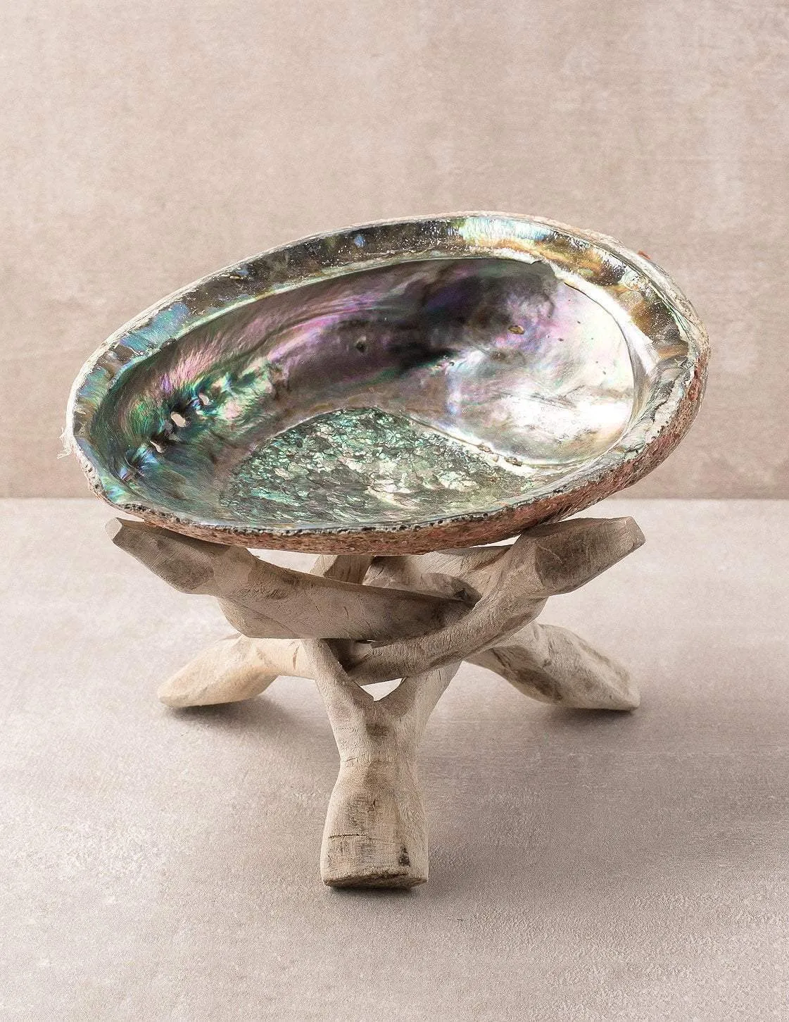 Large Abalone Shell and White Sage Smudge Set