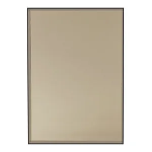 Lucent Mirror
