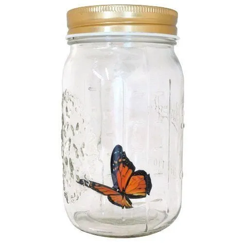 My Butterfly Collection Animated in a Jar Monarch