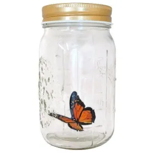 My Butterfly Collection Animated in a Jar Monarch