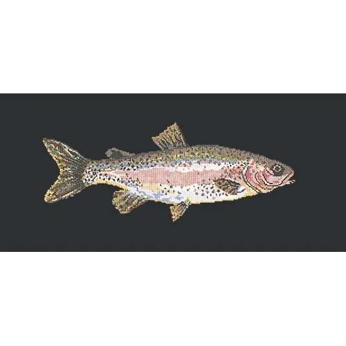 Rainbow Trout