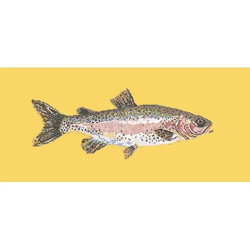 Rainbow Trout