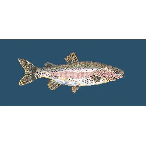 Rainbow Trout