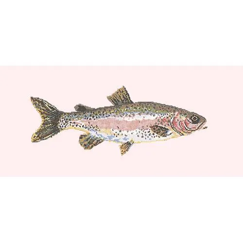 Rainbow Trout