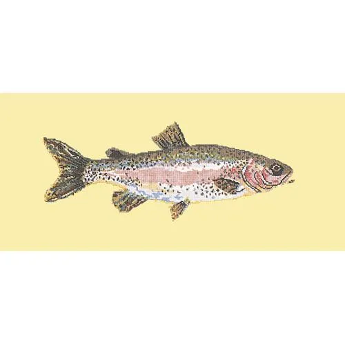 Rainbow Trout