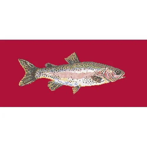 Rainbow Trout