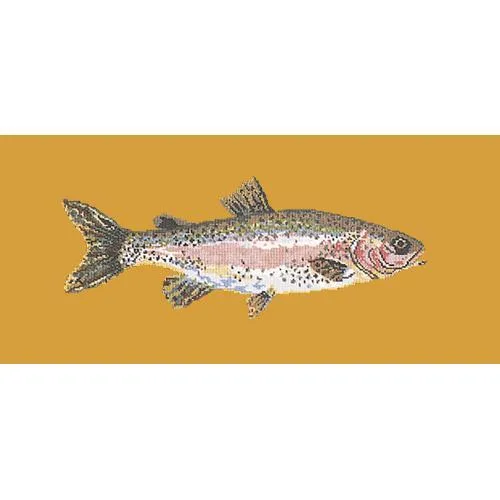 Rainbow Trout