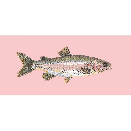 Rainbow Trout
