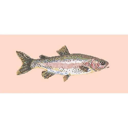 Rainbow Trout