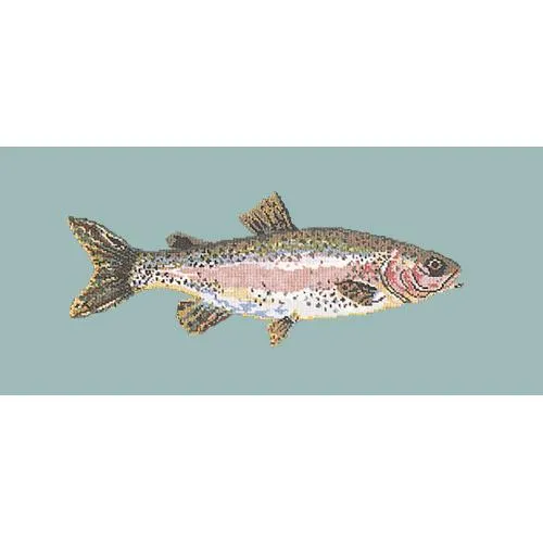 Rainbow Trout