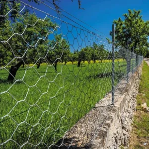Smart Garden Galvanised Hexagonal Wire Netting 50mm 0.5x10m