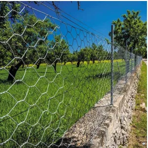 Smart Garden Hexagonal Wire Netting 13mm 0.5x10m