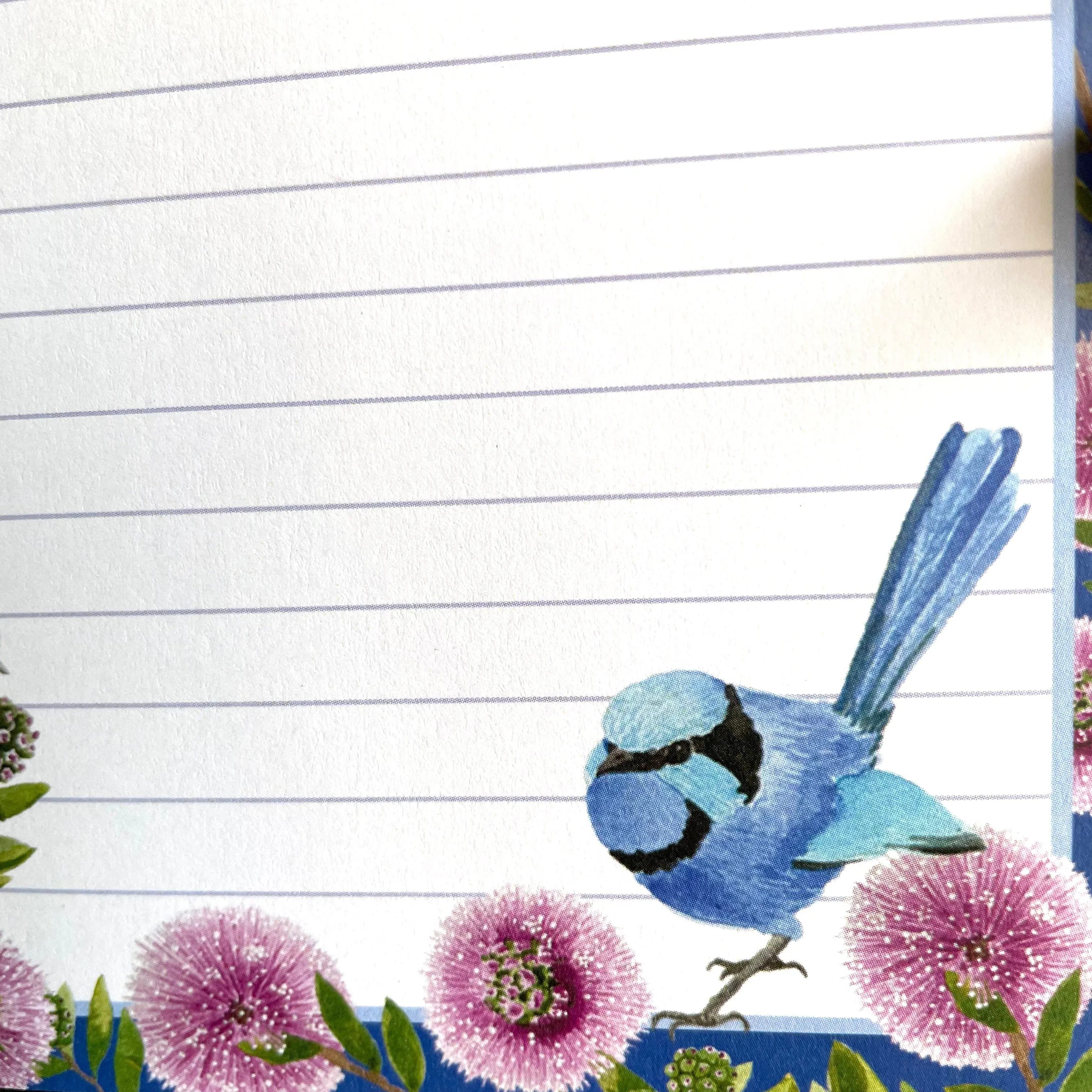 Splendid Blue Wren Note Pad