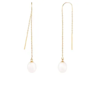 Splendid Pearls 14K Yellow Gold Earrings HOF-59WY