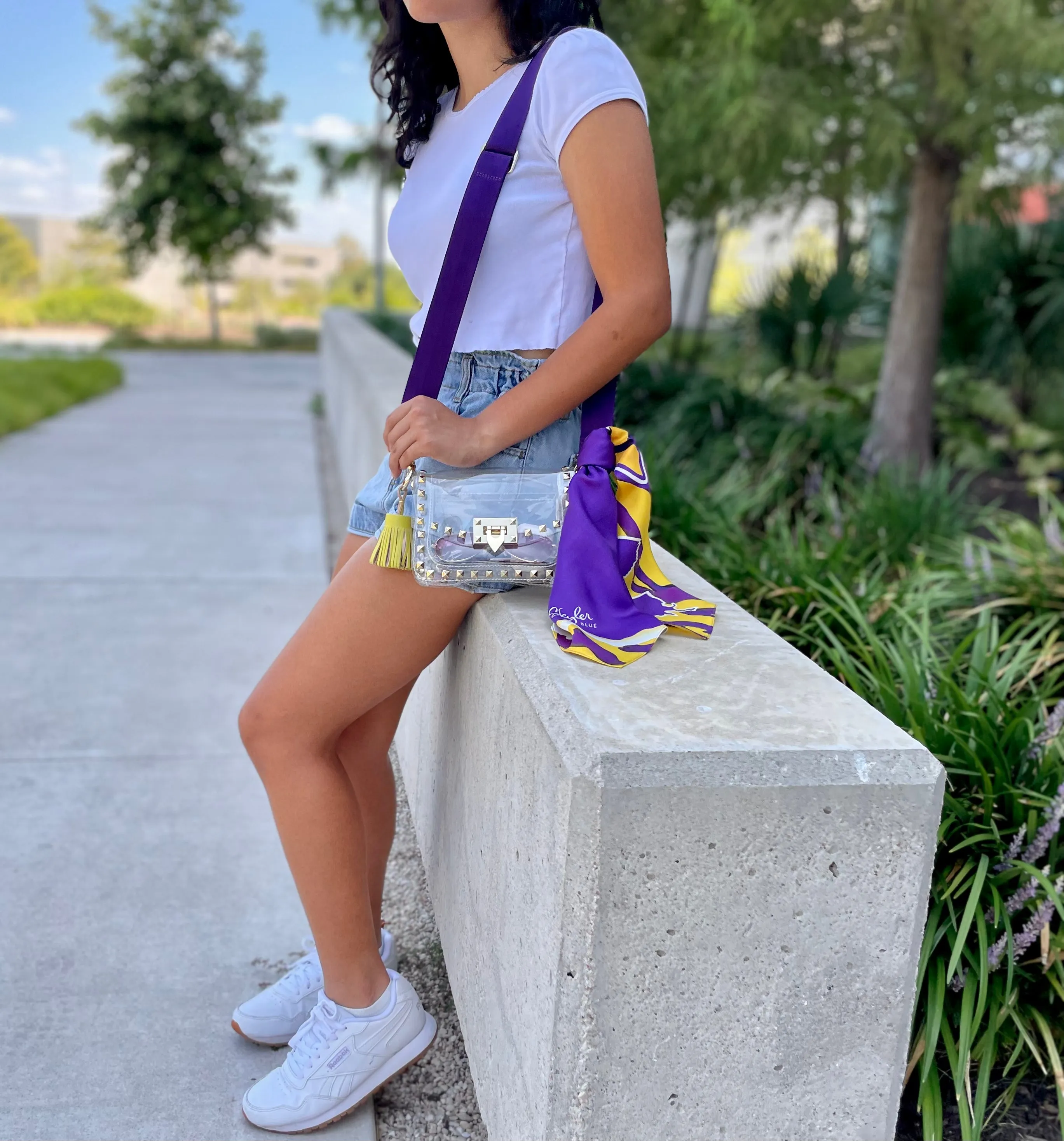 The Baton Rouge Clear Small Studded Bag