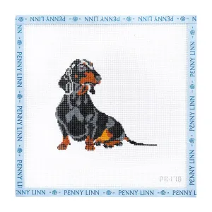 The Dachshund Dog