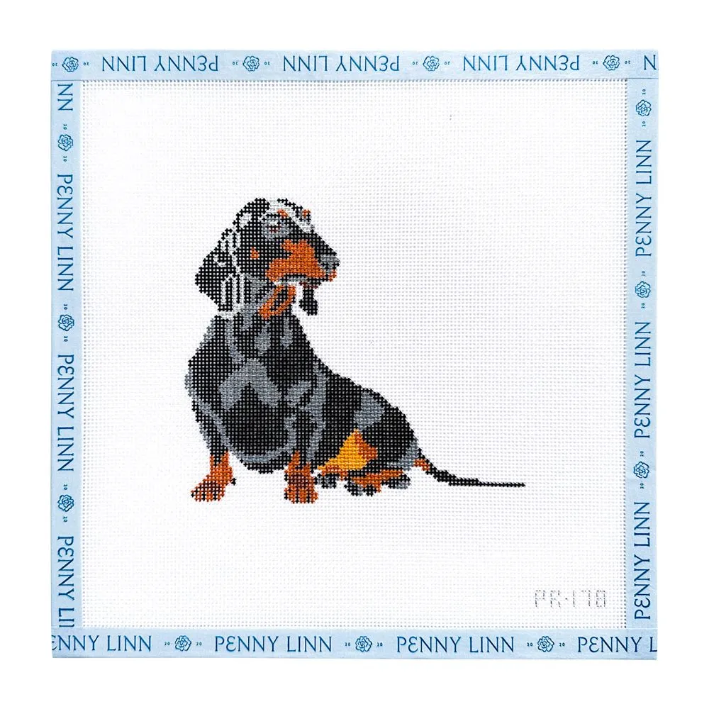 The Dachshund Dog